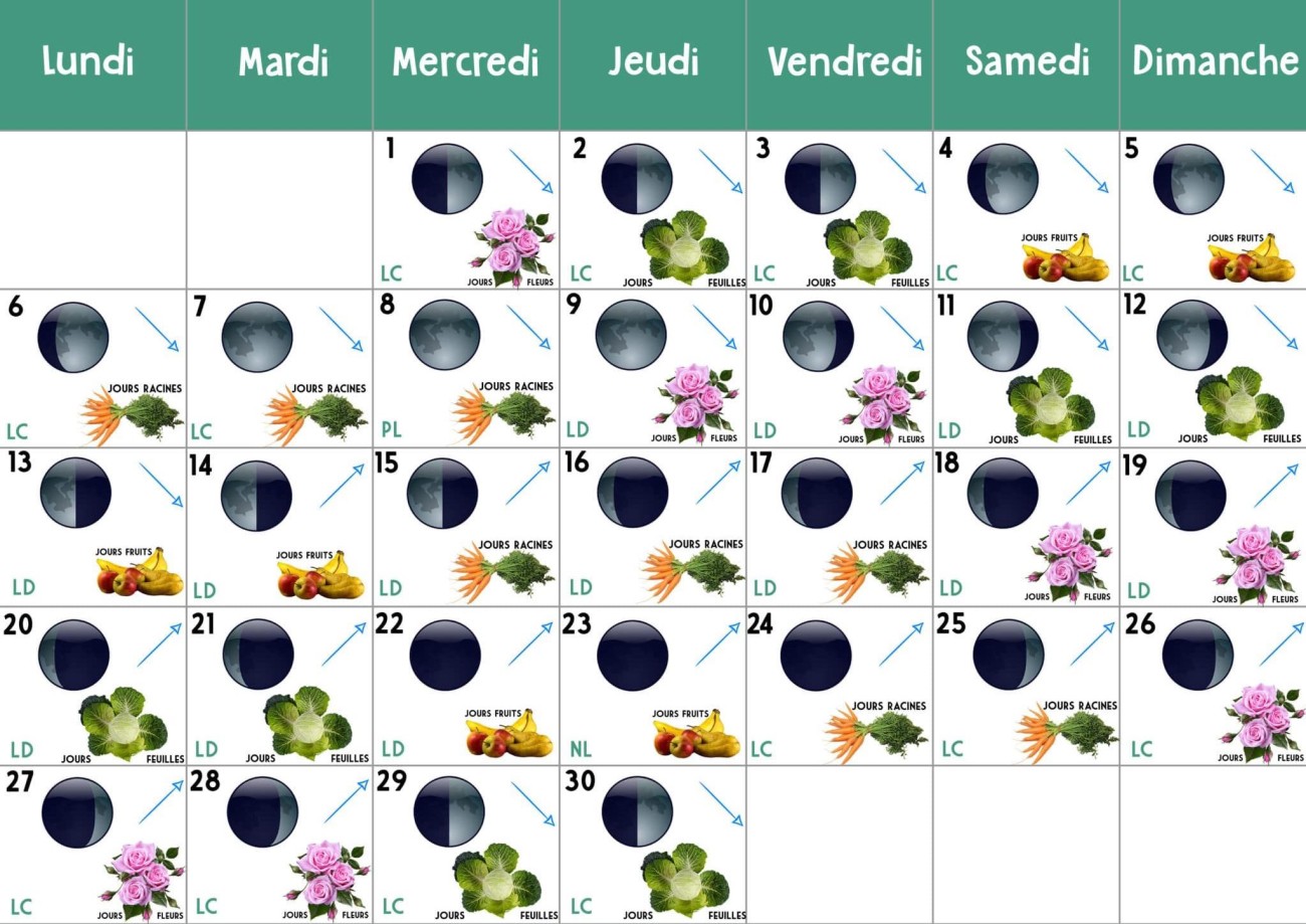 Calendrier biodynamique des semis