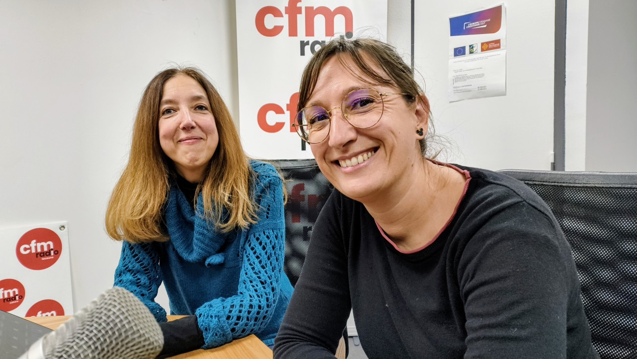 La lutte contre les violences conjugales